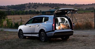 Bagasjerom dekket for camping og bilen er pyntet med lys. Foto.