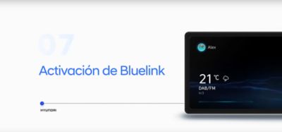 Bluelink