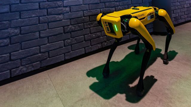 Robot SPOT ve žluté barvě.