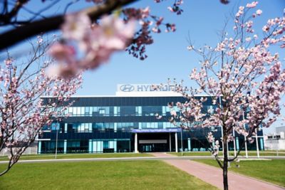 Bäume mit rosa Blüten vor einem Hyundai Firmengebäude.