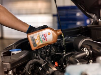 Hyundai mechanic fills the engine oil.