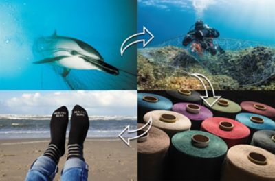 Delfin + føtter med sokker på foran en strand. Foto.