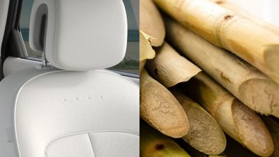 Autositze und Zuckerrohr: Symbolbild für den Einsatz von Bio-Textilien im Hyundai IONIQ 5.  