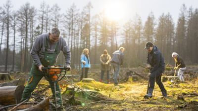 Mitarbeiter von PLANT-MY-TREE®pflanzen Bäume im IONIQ Wald.