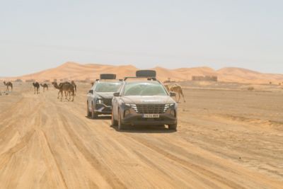 Desierto de los niños