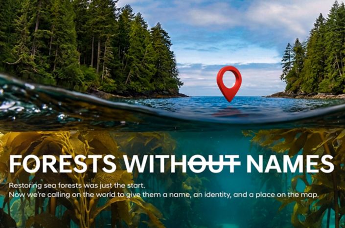 Forests Without Names: Hyundai Motor Brings the World’s Hidden Sea Forests Into the Light