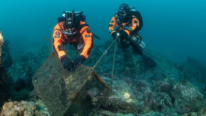 Hyundai Motor and Healthy Seas Celebrate Five Years of Global Ocean Conservation and Education Leadership