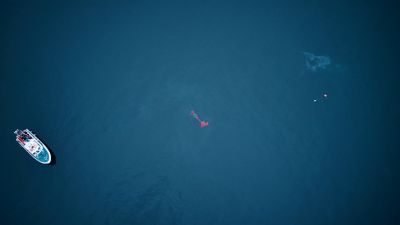 Ein Boot von Healthy Seas aus der Vogelperspektive, das verlassene Fischernetze aus dem Meer birgt.