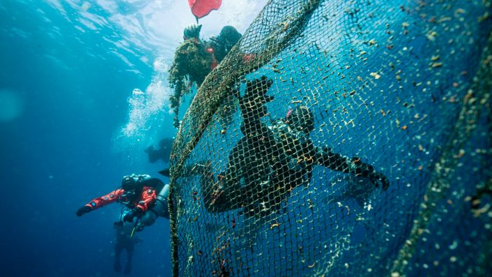 Sons of the ocean - “ Non è l'acqua di fonte che battezza i figli di  marinai  Nascere sul mare, e non importa se poi il carro ti conduce  altrove