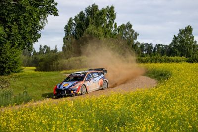 Ein Hyundai i20 N WRC Rally1 fährt auf einer staubigen Straße durch eine Wiesenlandschaft.