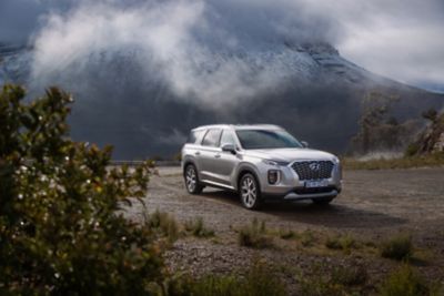 Voorzijde Hyundai Palisade, 1e generatie, 2021.
