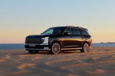 Hyundai Palisade Hybrid, 2e generatie, 2024