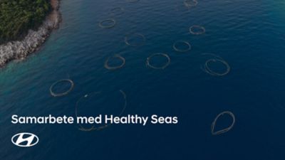 Samarbete med Healthy Seas