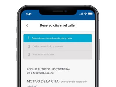Captura de pantalla para reservar cita en el taller personalizando el motivo de la cita