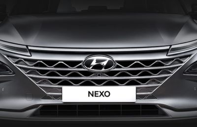 Imagen de los tiradores automáticos del Hyundai NEXO.