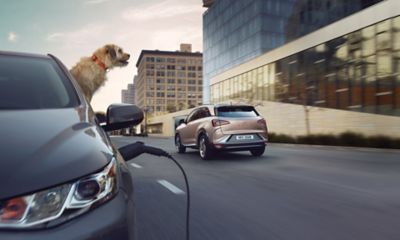 A dog looking out of the window of a parked car as an all-new Hyundai Nexo drives past.