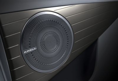 Imagen de un altavoz del sistema de sonido premium de KRELL.