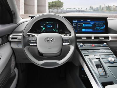 Photo of the Hyundai Nexo's economic steering wheel with paddle shifters.