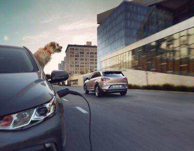 A dog looking out the window of a Hyundai NEXO Fuel Cell Electric vehicle being fueled.