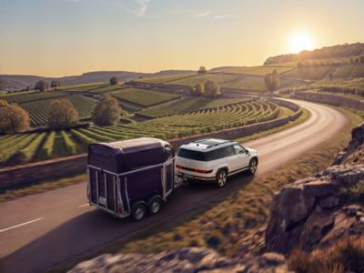 Hyundai SANTA FE towing a horse trailer through the countryside.