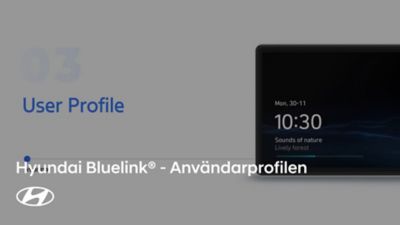 Hyundai Bluelink Anvandarprofilen