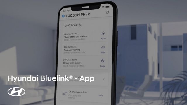 Hyundai Bluelink App