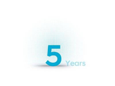 5 year icon of Hyundai for the mild-hybrid batteries.